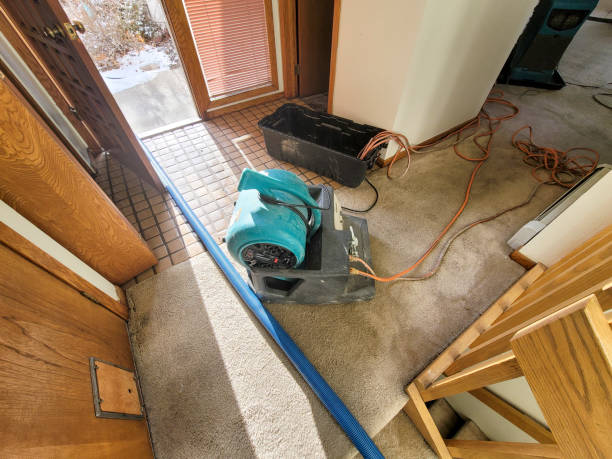  Indian Harbour Beach, FL Water damage restoration Pros
