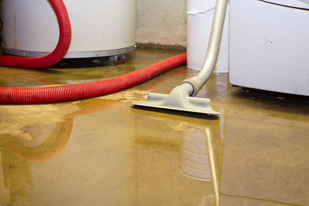 Carpet water damage restoration in Indian Harbour Beach, FL