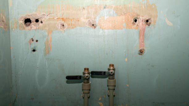 Best Commercial water damage restoration  in Indian Harbour Beach, FL