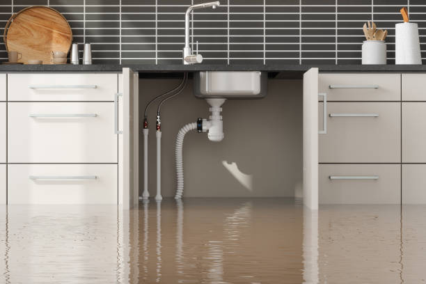 Best Local water damage restoration  in Indian Harbour Beach, FL