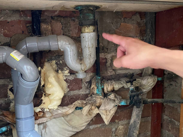 Best 24/7 water damage repair  in Indian Harbour Beach, FL