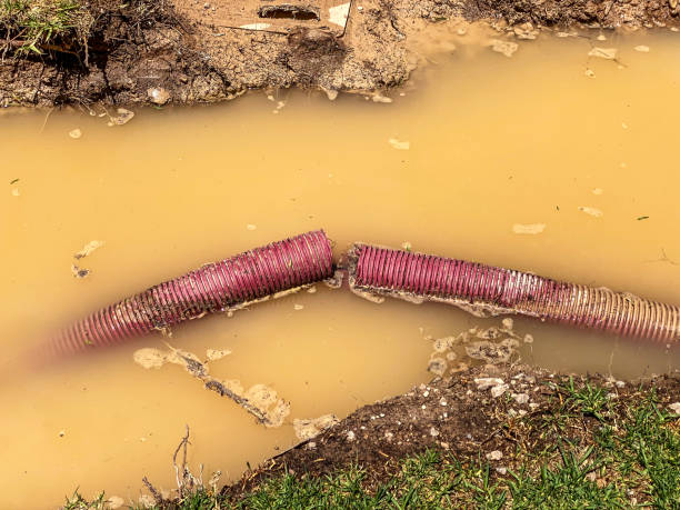 Trusted Indian Harbour Beach, FL Water damage restoration Experts